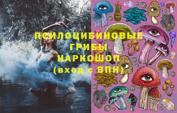 круглые Алзамай