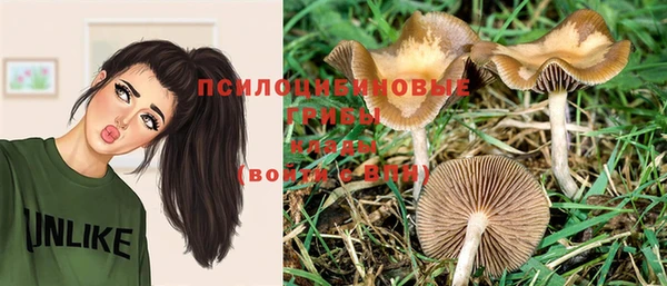 круглые Алзамай
